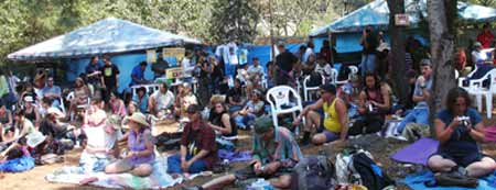 crowd